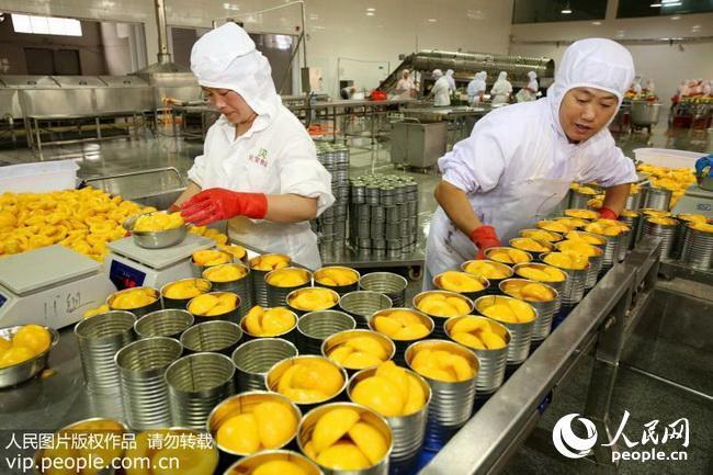 安徽淮北出口水果罐头生产忙2018716海外版3版