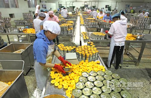 该公司位于凤凰山食品经济开发区,拥有6条国际先进的果蔬罐头生产